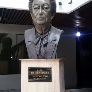 Hilda Anderson Nevárez HILDA ANDERSON CTM