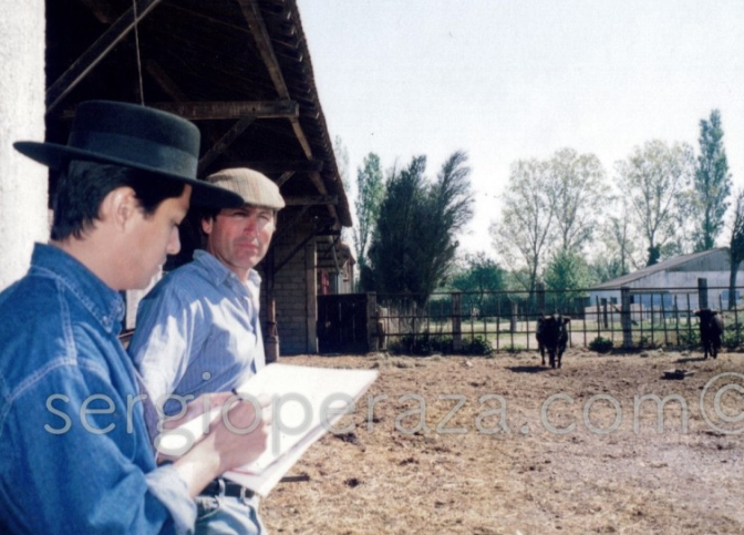 Dibujando Toros bravos